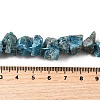 Natural Apatite Beads Strands G-I283-F23-5