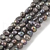 Dyed Natural Cultured Freshwater Pearl Beads Strands PEAR-A006-01B-2