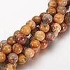 Natural Crazy Lace Agate Round Bead Strands G-M272-03-8mm-1