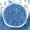 Transparent Inside Colours Glass Seed Beads X1-SEED-A032-04D-2