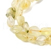 Natural Gold Prehnite Beads Strands G-K395-A07-01-4