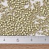 MIYUKI Delica Beads SEED-X0054-DB1831F-4