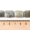 Natural Labradorite Beads Strands G-S386-A03-5