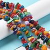 Natural Freshwater Shell Dyed Beads Strands G-M205-85A-4