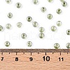 6/0 Transparent Inside Colours Glass Seed Round Beads X1-SEED-N006-004H-4