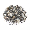 Natural Freshwater Shell Beads X-BSHE-I011-03A-1