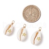 Copper Wire Wrapped Natural Cowrie Shell Pendants PALLOY-JF03554-01-2