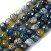 Dyed & Heated Natural Fire Crackle Agate Beads Strands X-G-P539-B01-02-1