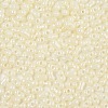 Baking Paint Glass Seed Beads SEED-L011-09A-17-3