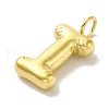 Ion Plating(IP) 304 Stainless Steel Pendants X-STAS-K263-47G-I-2