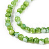 Dyed Natural Trochid Shell/Trochus Shell Beads Strands SSHEL-T017-13C-3