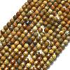 Natural Picture Jasper Beads Strands G-A260-A47-01-2
