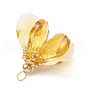 Glass Pendants PALLOY-MZ00741-06-4