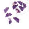 Natural Lepidolite Display Decorations G-PW0004-04-4