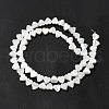 Natural Trochid Shell/Trochus Shell Beads Strands BSHE-E026-19-3