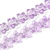 Transparent Glass Beads Strands GLAA-H038-02D-1