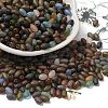 Transparent Colours Glass Seed Beads X-SEED-F006-03A-03-1