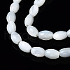 Natural Trochid Shell/Trochus Shell Beads Strands X-SSHEL-S266-021A-01-3