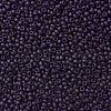 TOHO Round Seed Beads SEED-XTR08-0008DF-2
