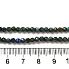 Natural Chrysocolla & Lapis Lazuli Beads Strands G-D463-08B-4