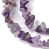 Natural Amethyst Beads Strands G-G0003-B14-4