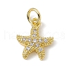 Brass Micro Pave Cubic Zirconia Charms ZIRC-F132-13G-1