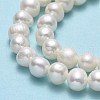 Natural Cultured Freshwater Pearl Beads Strands PEAR-F018-17E-01-4