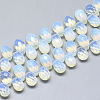 Opalite Beads Strands G-S357-C02-15-1