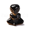 Natural Tiger Eye Display Decorations DJEW-P019-E07-2