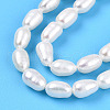 Natural Cultured Freshwater Pearl Beads Strands PEAR-N012-04M-4