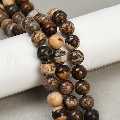 Natural Zebra Jasper Beads Strands G-F792-C13-01-1