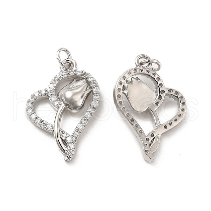 Brass Micro Pave Clear Cubic Zirconia Pendants KK-E068-VB191-1
