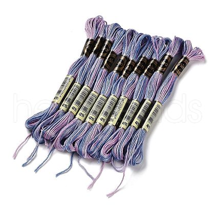 10 Skeins 6-Ply Polyester Embroidery Floss OCOR-K006-A66-1