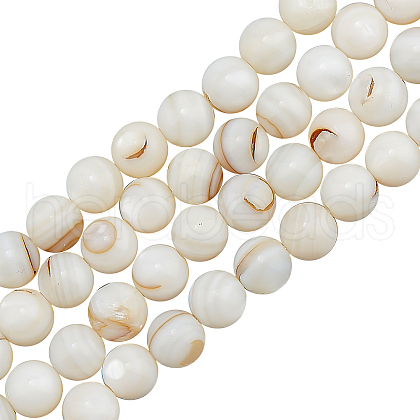 CHGCRAFT 3 Strands Natural Freshwater Shell Beads Strands SHEL-CA0001-007-1