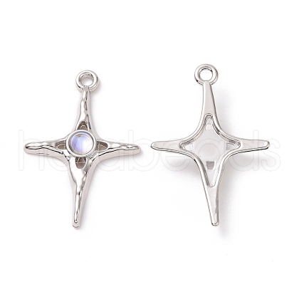Alloy Pendants FIND-I020-09P-1