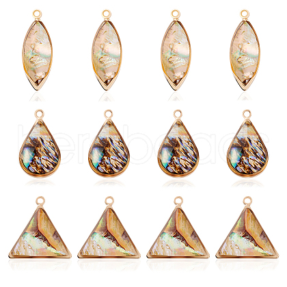AHADERMAKER 12Pcs 3 Styles Brass Pave Paua Shell Pendants SHEL-GA0001-22-1