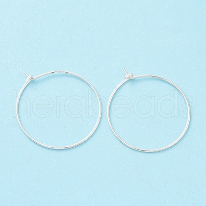 925 Sterling Silver Hoop Earring Findings STER-D035-24S-1