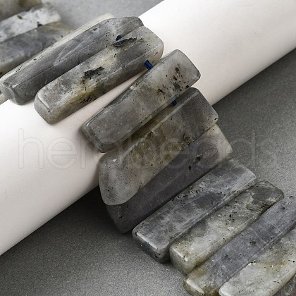 Natural Labradorite Beads Strands G-S386-D18-1