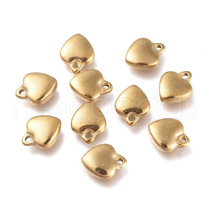 304 Stainless Steel Charms STAS-G236-01G-B-1