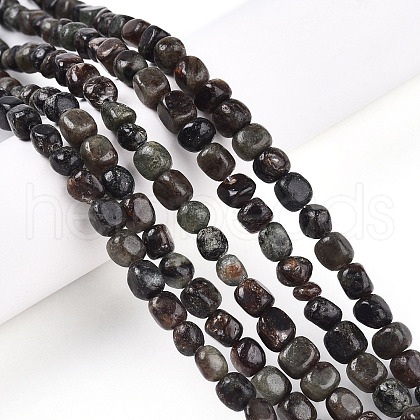Natural Biotite Beads Strands G-N346-04A-02-1
