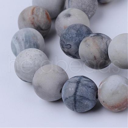 Natural Polychrome Jasper/Picasso Stone/Picasso Jasper Beads Strands G-Q462-10mm-02-1