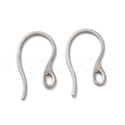 304 Stainless Steel Earring Hooks STAS-E192-11P-1