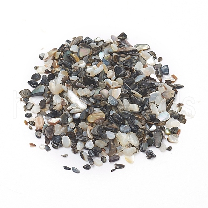 Natural Freshwater Shell Beads X-BSHE-I011-03A-1