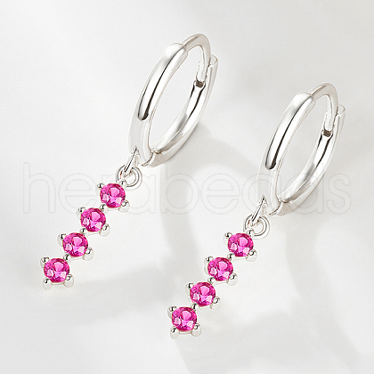 S925 Sterling Silver Hoop Earrings RL0741-6-1