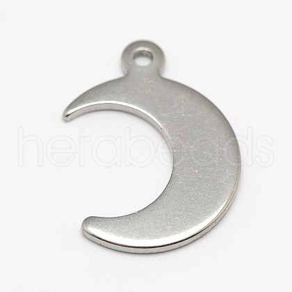 Tarnish Resistant 304 Stainless Steel Charms STAS-M037-09-1