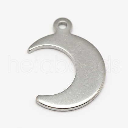 304 Stainless Steel Charms STAS-M037-09-1