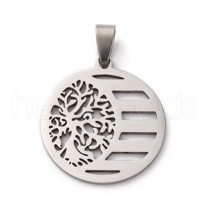 201 Stainless Steel Pendants STAS-V013-08P-1