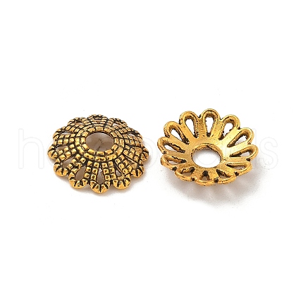 Tibetan Style Alloy Bead Caps TIBE-P003-76AG-1