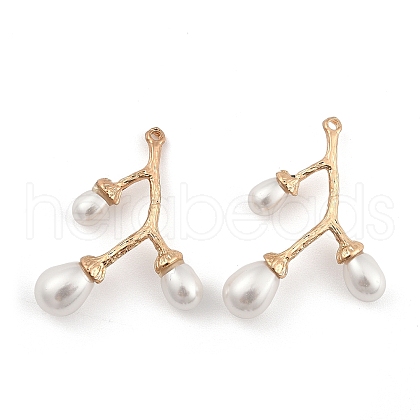 Zinc Alloy Pendants PALLOY-D311-03KCG-1