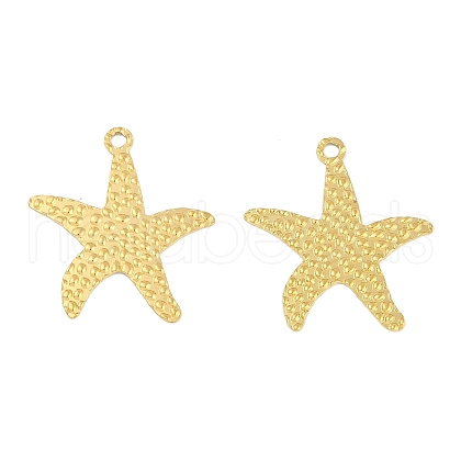 Ion Plating(IP) 304 Stainless Steel Pendants STAS-C106-04G-1